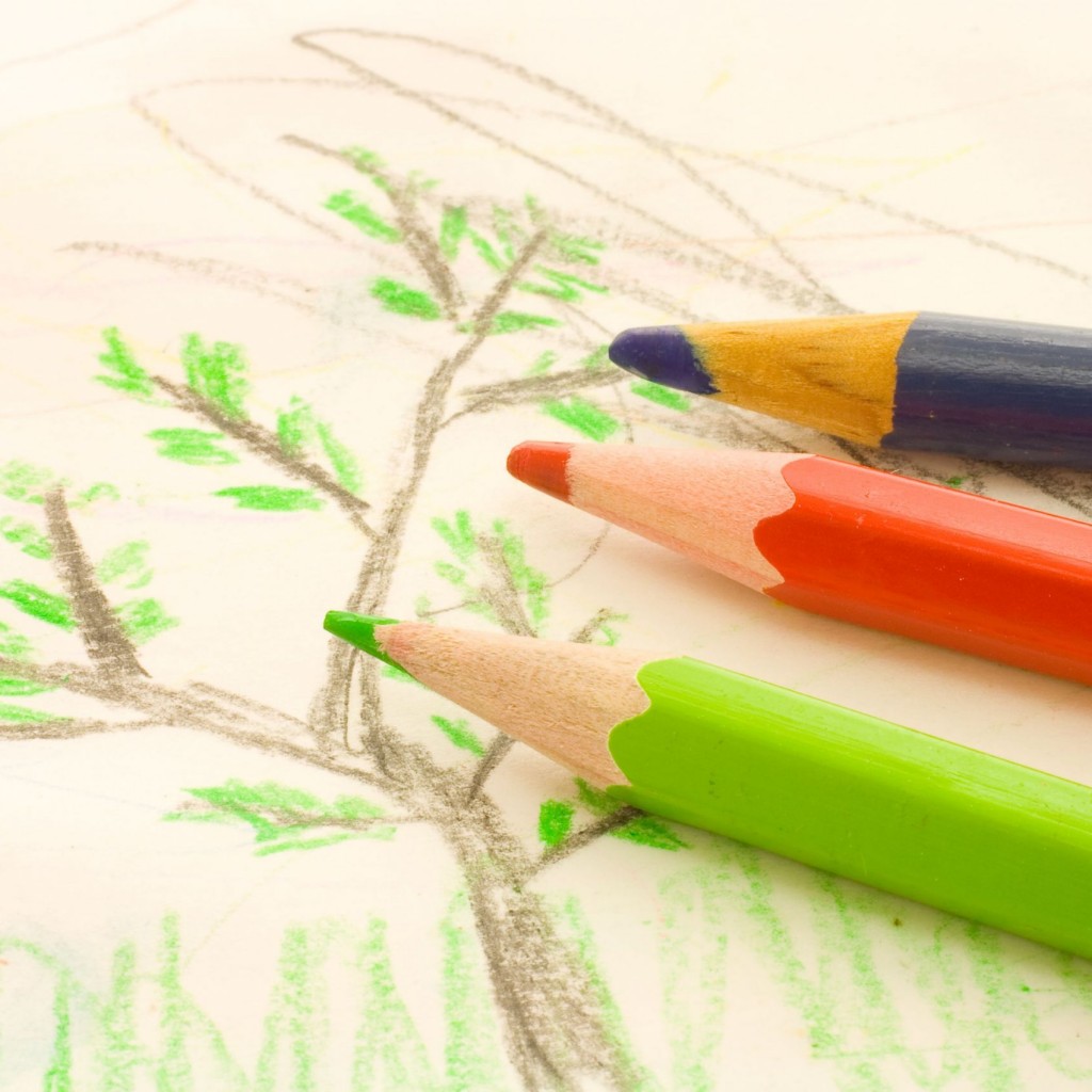 Photo: Three colored pencils (dark blue, red, and green) rest on a hand-drawn sketch of a tree with green leaves.