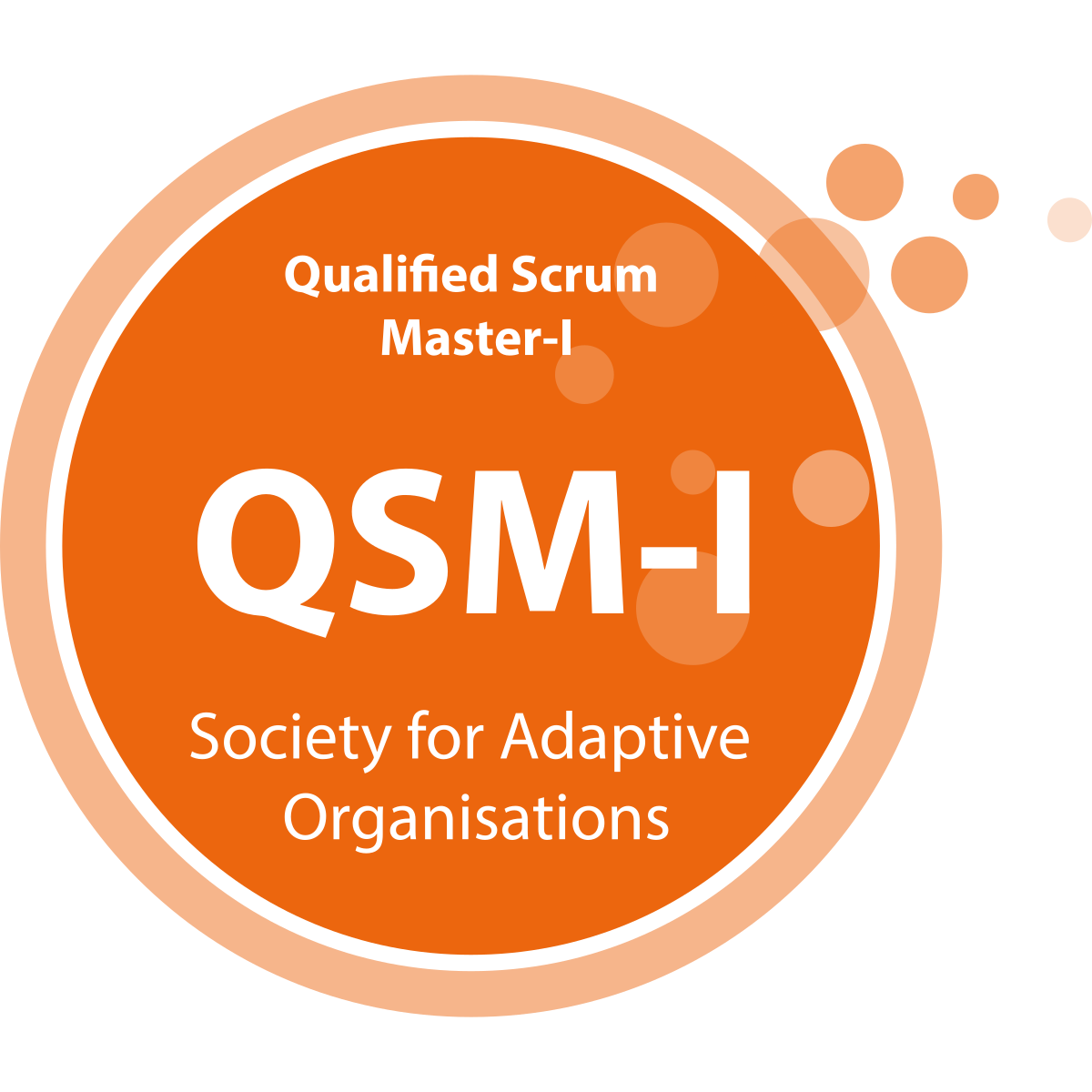 Qualified Scrum Master 1 logo