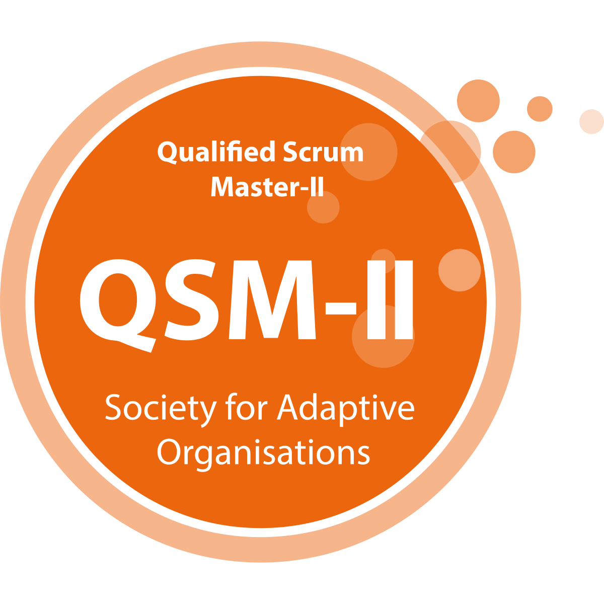 Qualified Scrum Master 2 logo