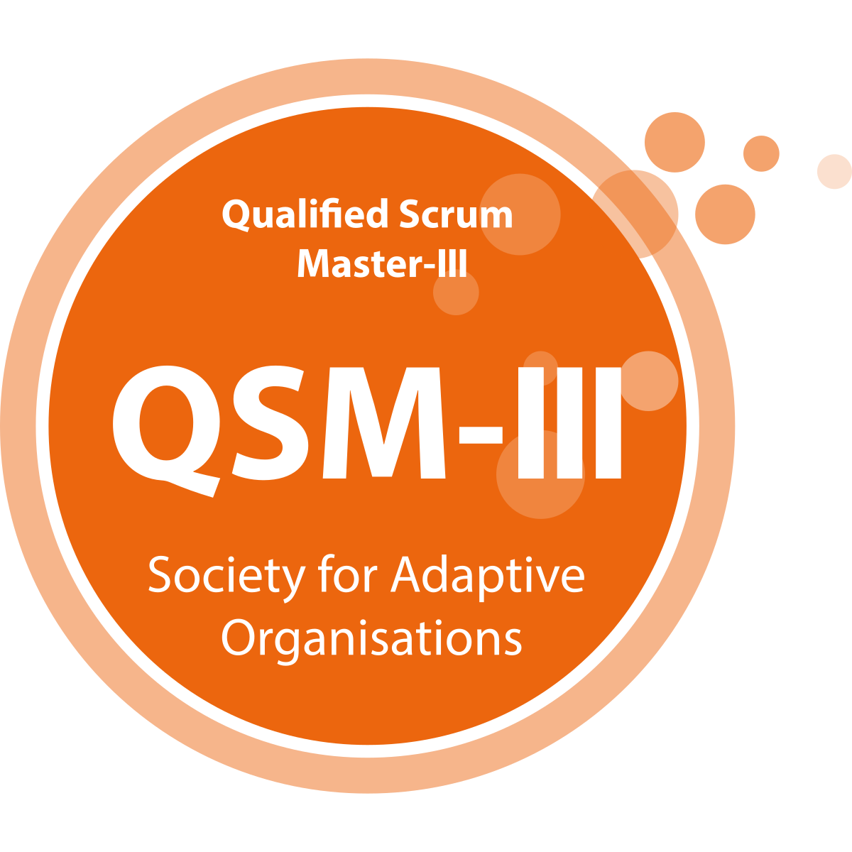 Qualified Scrum Master 3 logo